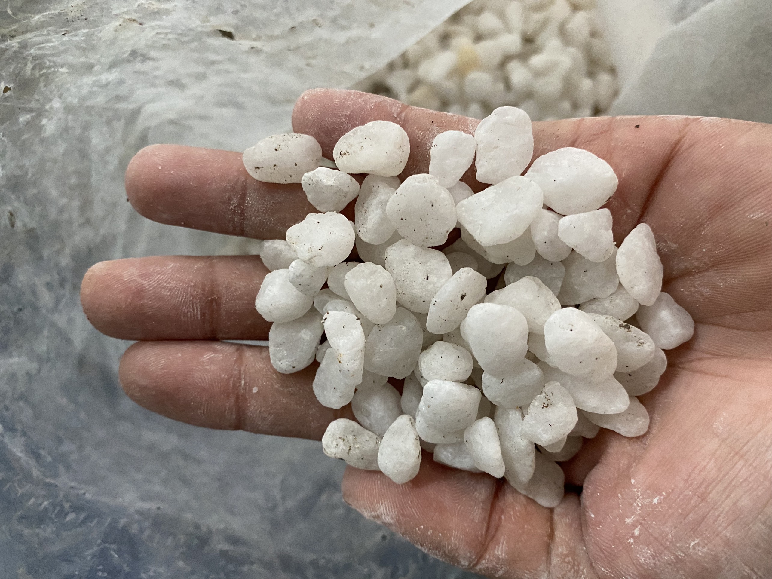 Đá sỏi trắng, dùng trang trí chậu cây hồ cá