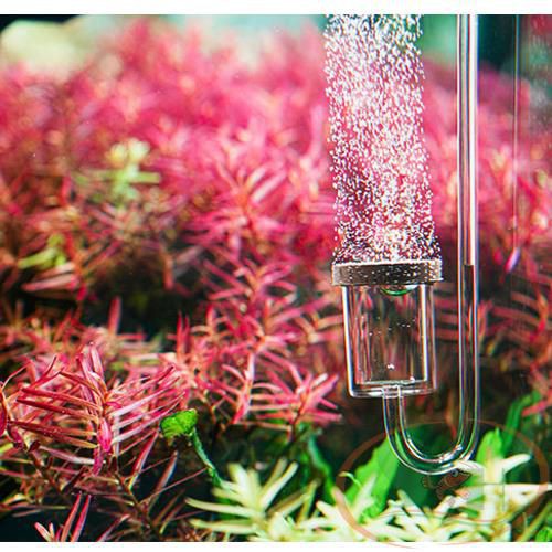 Đầu Sủi Co2 Siêu Mịn Aquario Neo Co2 Diffuser Original