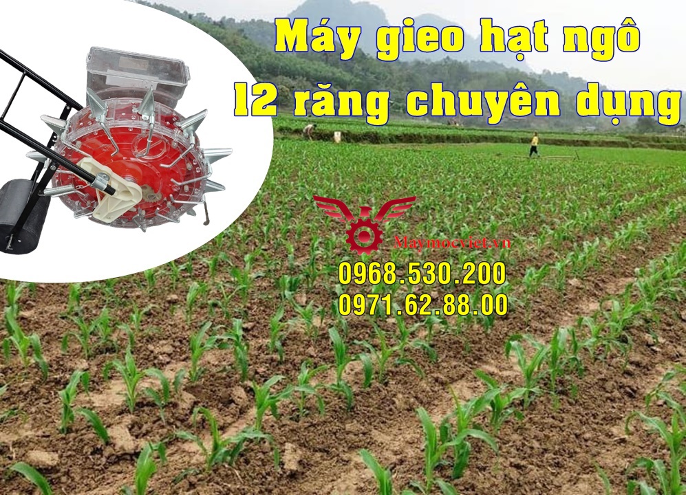 Máy gieo hạt đa năng Vinafarm 989 (12 răng)