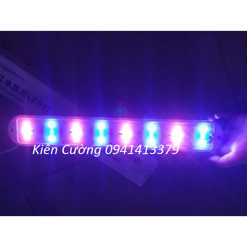 ĐÈN Led MJ560 cho bể cá cảnh