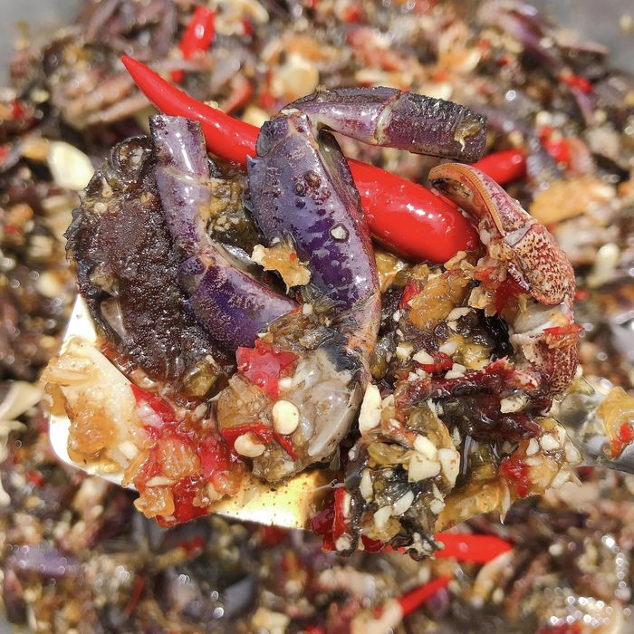 MẮM BA KHÍA TRỘN TƯƠI NGON ĐẶC SẢN RẠCH GỐC BẠC LIÊU 500GR- Vựa Khô Nam Thiên