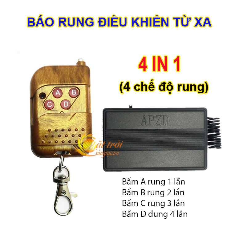Remote Control Vibrating Alarm