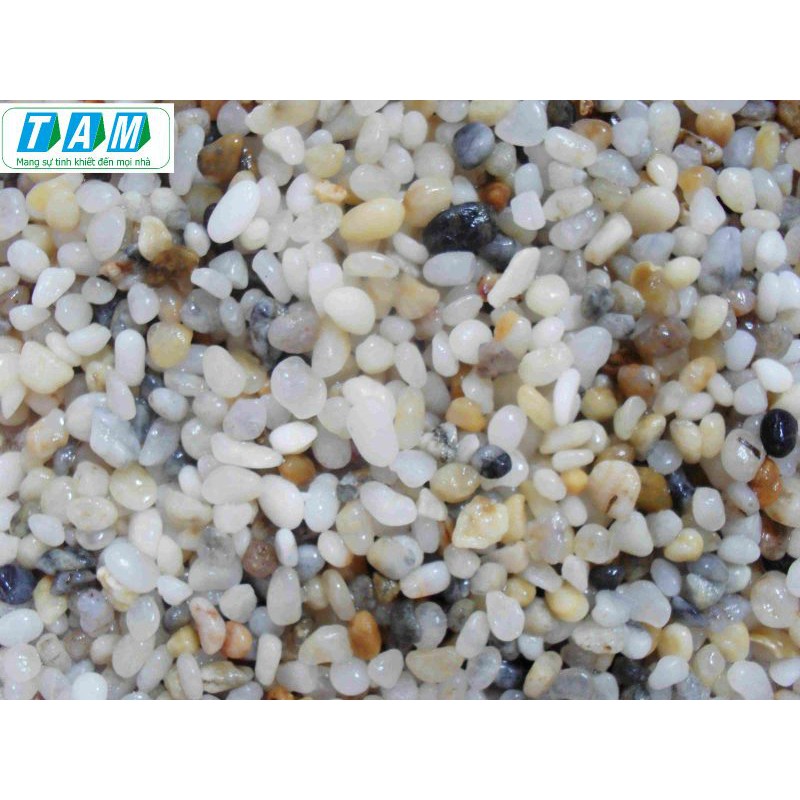 1kg sỏi đỡ dùng cho lọc nước trang trí bể cá
