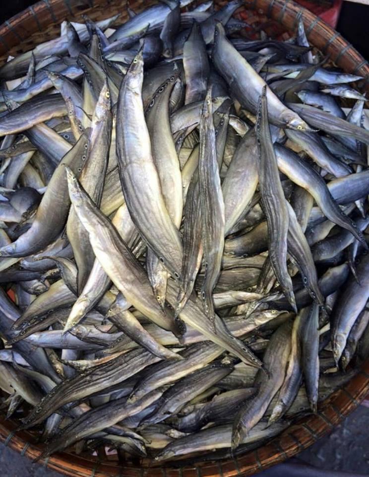 1kg Khô cá chạch