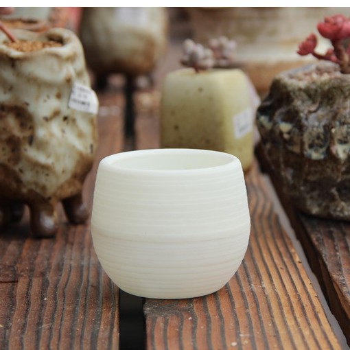 Chậu Nhựa Mini Chuyên Dùng Trồng Sen Đá - Sương Rồng Có Đáy Trữ Nước Siêu Đáng Yêu
