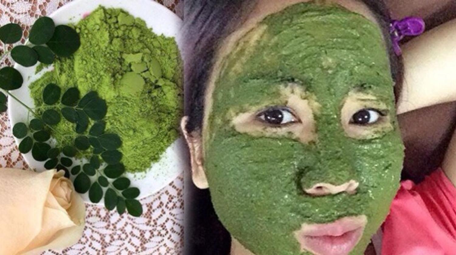 100gr Bột Lá Chùm Ngây