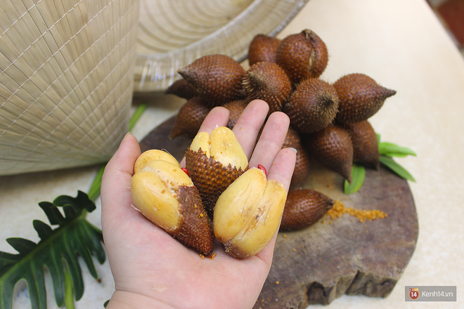 CÂY GIỐNG MÂY THÁI,SIÊU QUẢ SIÊU NGON, SIÊU KINH TẾ