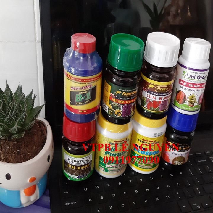 COMBO 8 Loại Phân Bón Dành Cho Người Mới Chơi Lan