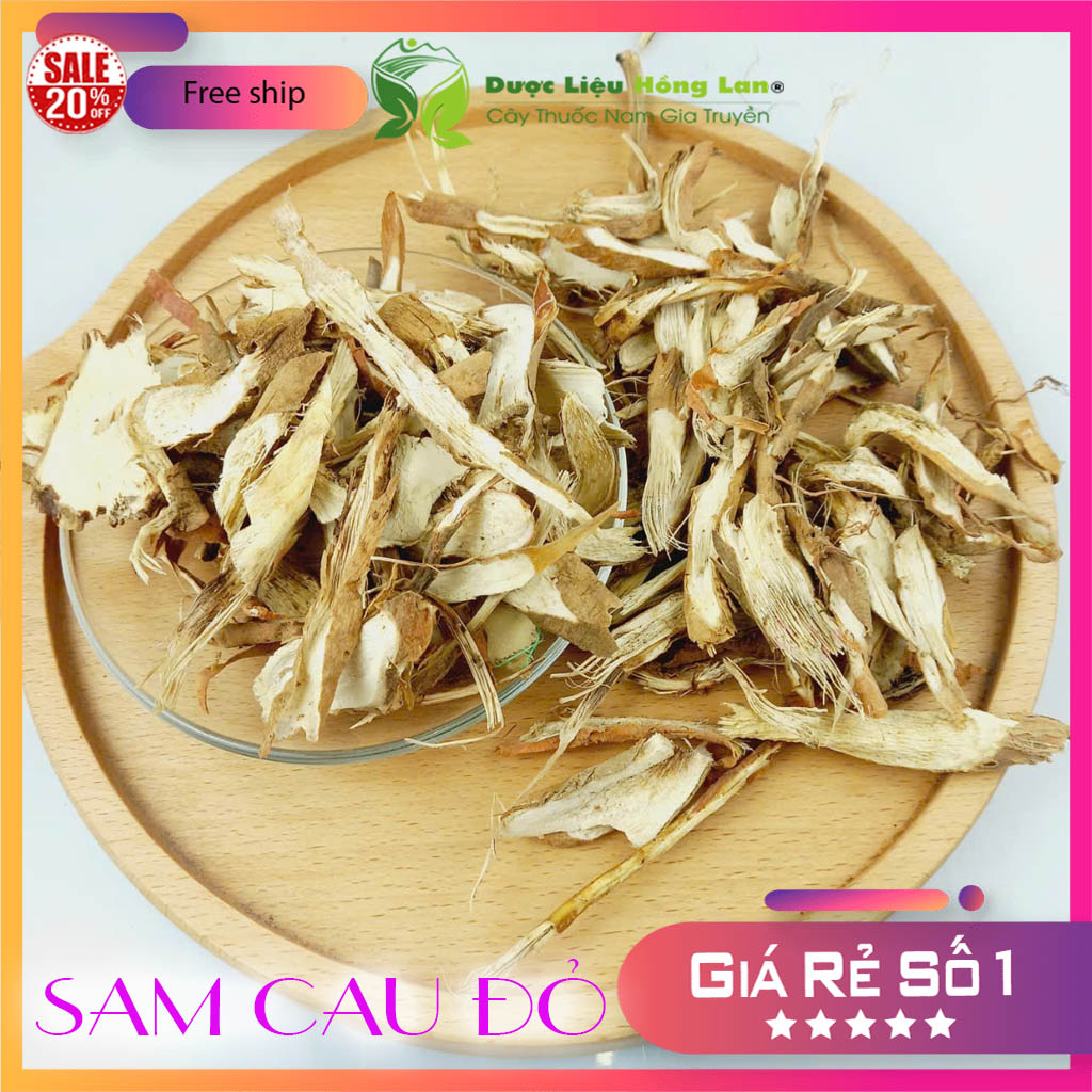 [FreeshipMAX] Dược liệu SÂM CAU ĐỎ khô sạch đóng gói 500gram