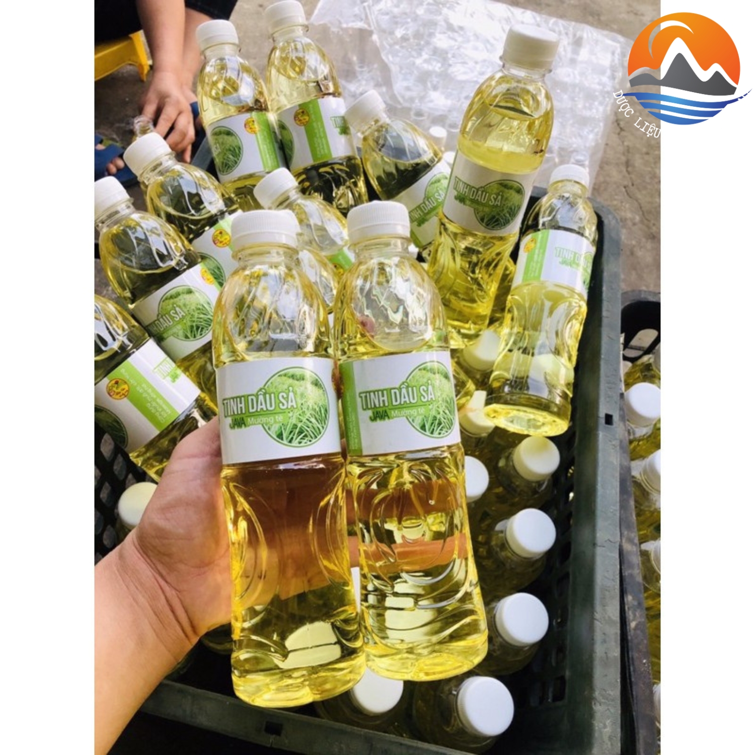 Tinh dầu sả java nguyên chất (chai 500ml) chưng cất thủ công thơm, khử mùi, đuổi côn trùng - Tinh dầu xả xã Java Mường Tè