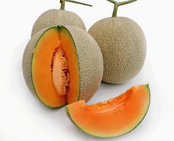 Hạt giống dưa lưới xanh