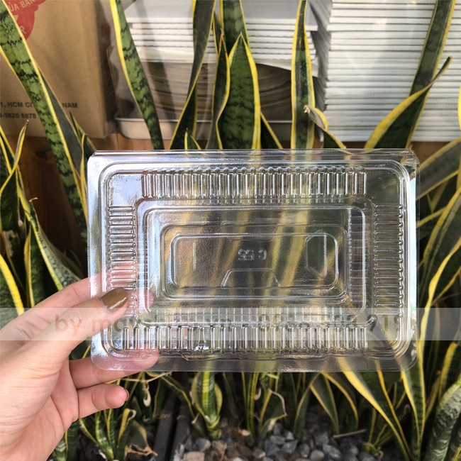 10 Hộp nhựa đựng bánh C55