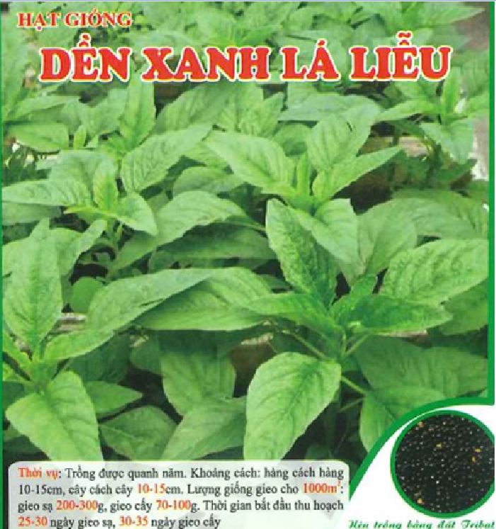 Hạt giống rau dền lá liễu xanh - gói 20gr