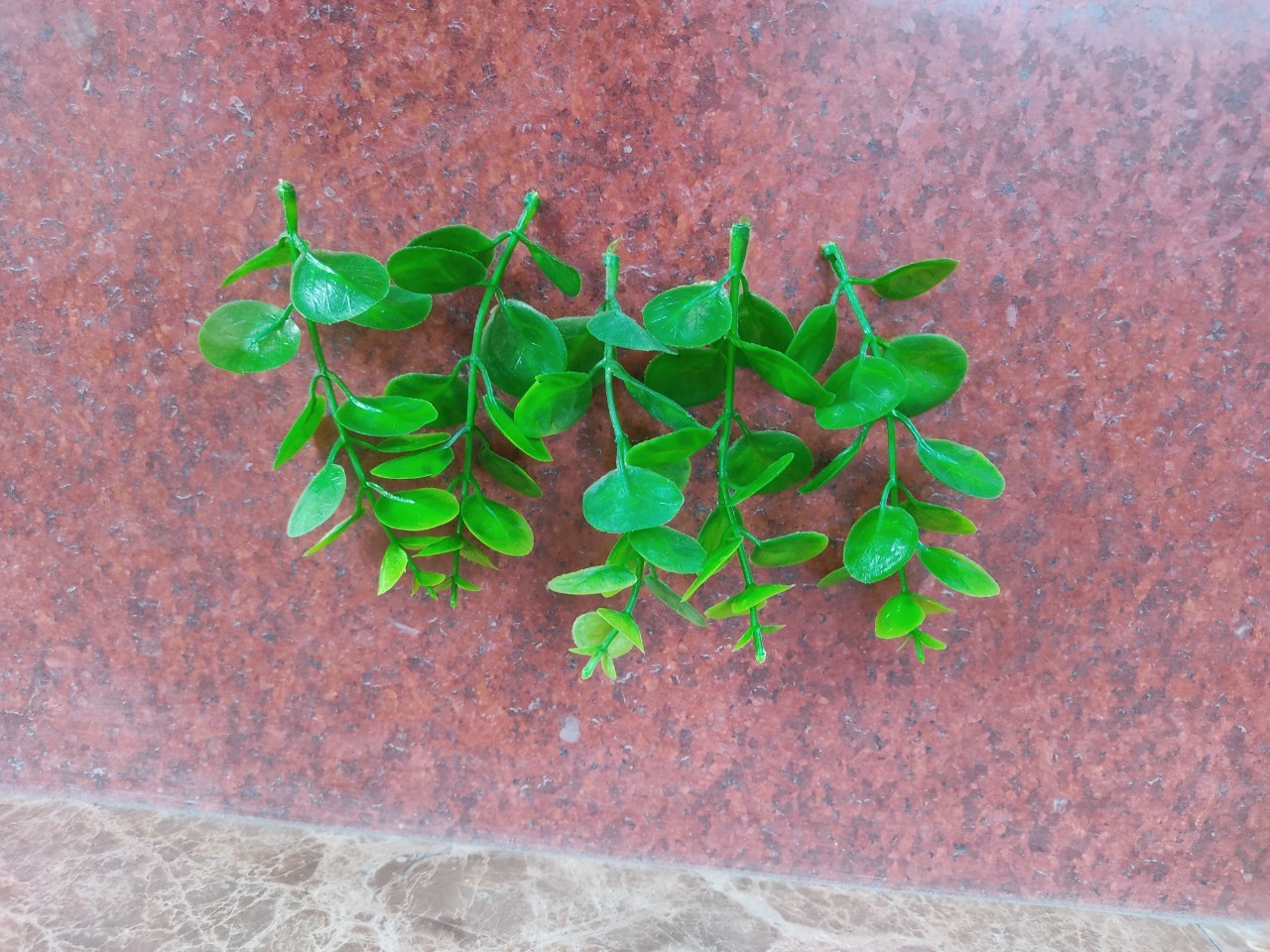 100g cỏ điểm đã bỏ gọng,điểm hoa sáp, hoa lụa, oản