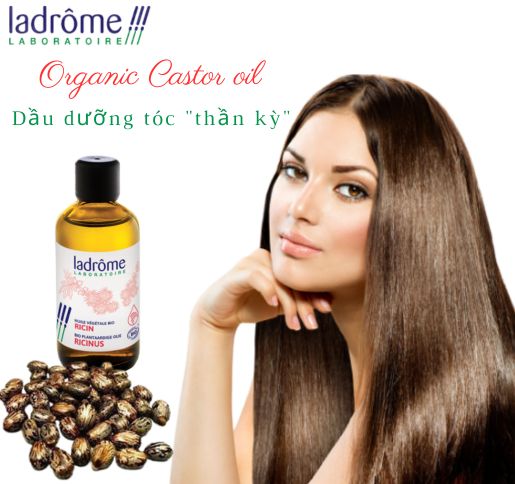 Dầu Thầu Dầu hữu cơ - Organic Castor Oil