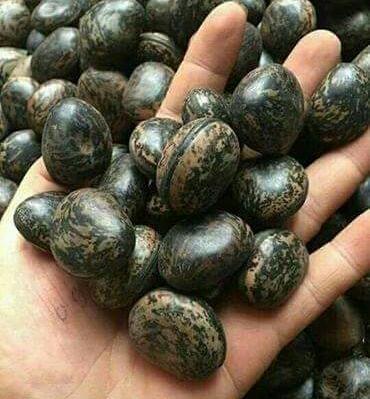 HẠT ĐẬU LÀO 500G