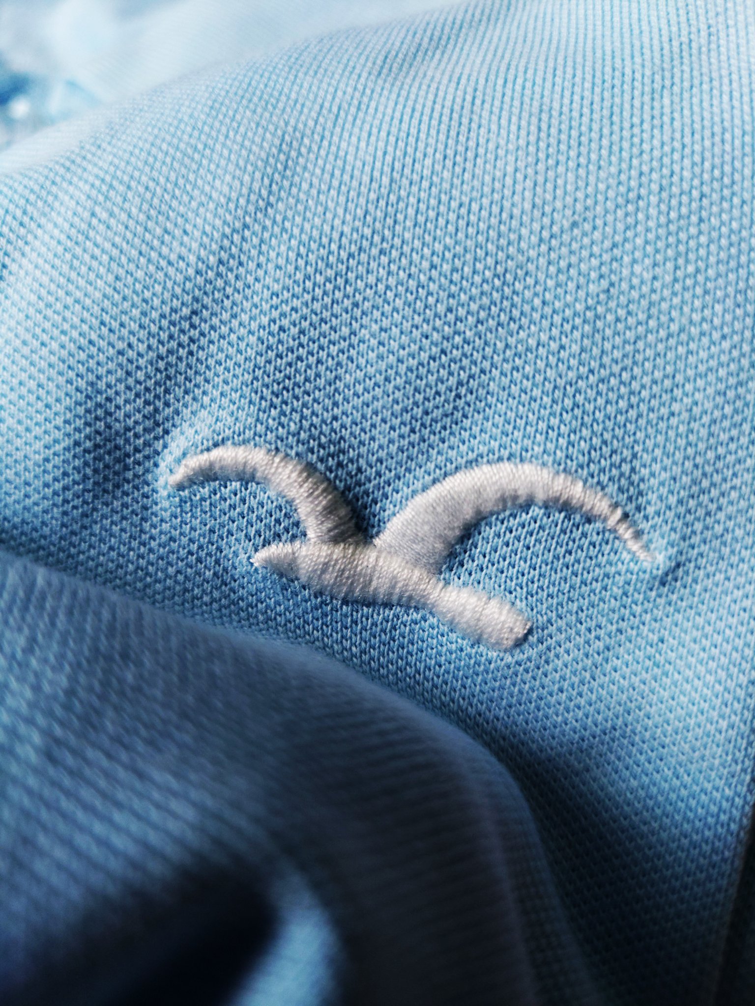 Áo thun polo Hollister icon White & Blue Sky New