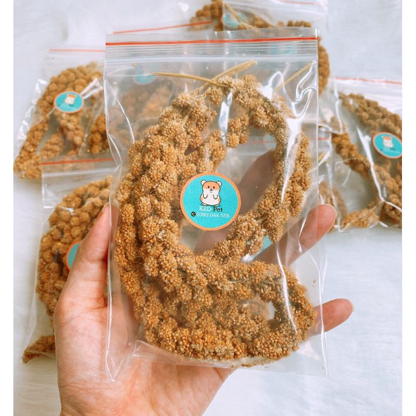 [Hoàn tiền 10%]Kê Chùm Cho Hamster