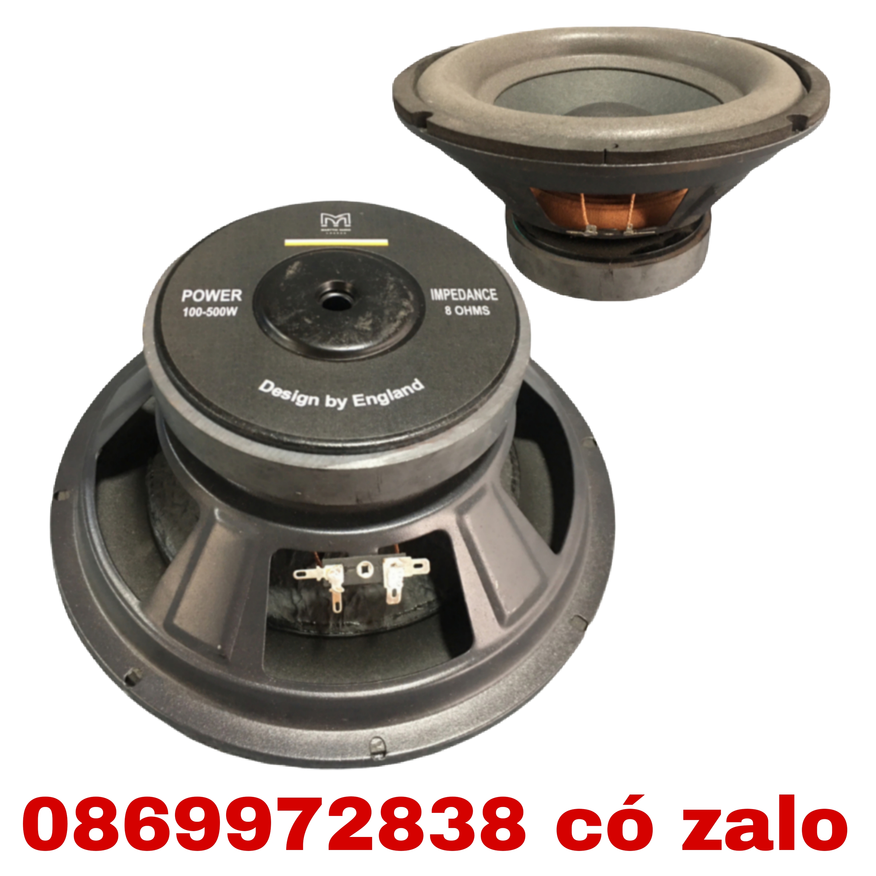 Loa sub 25 martin từ 140 coil 39 - giá một loa