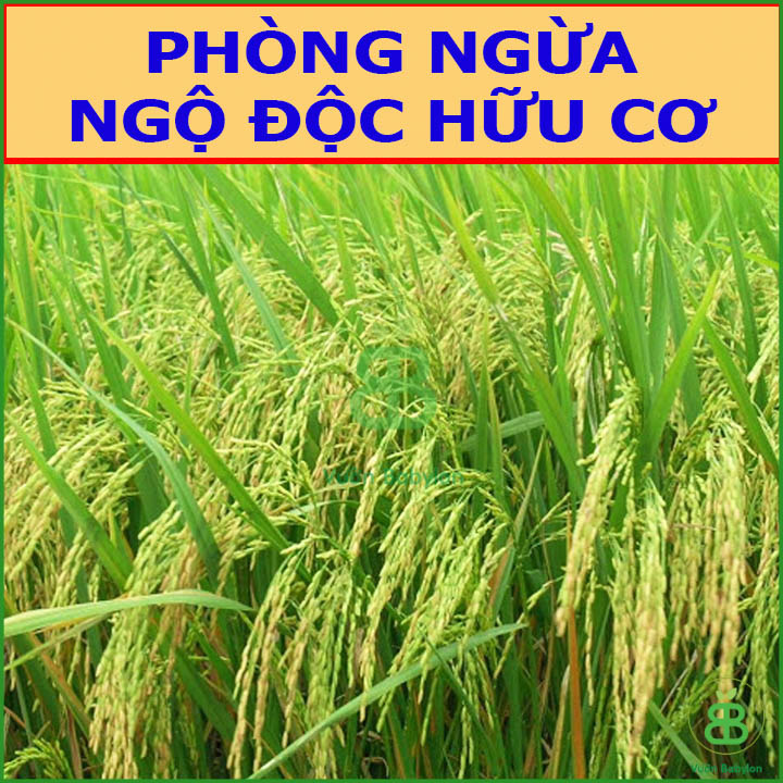 Nấm Đối Kháng Trichoderma Điền Trang Gói 1KG