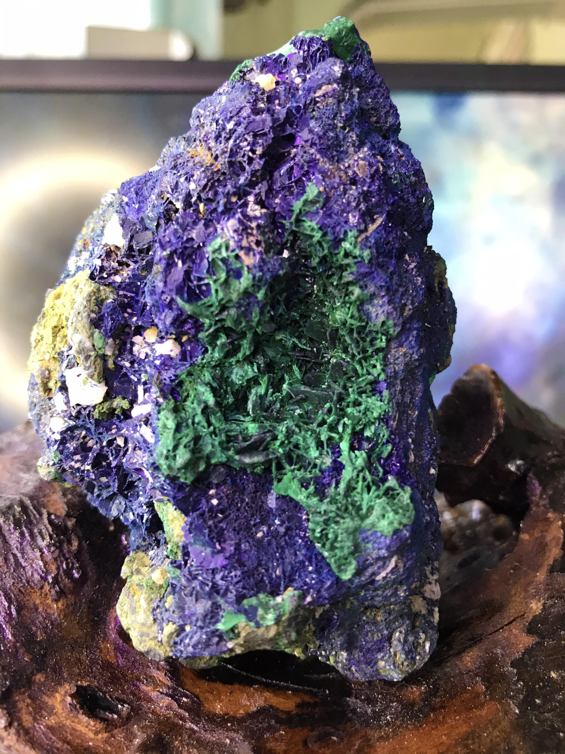 Đá lông công Azurite Malachite tự nhiên kèm đế gỗ Ms53