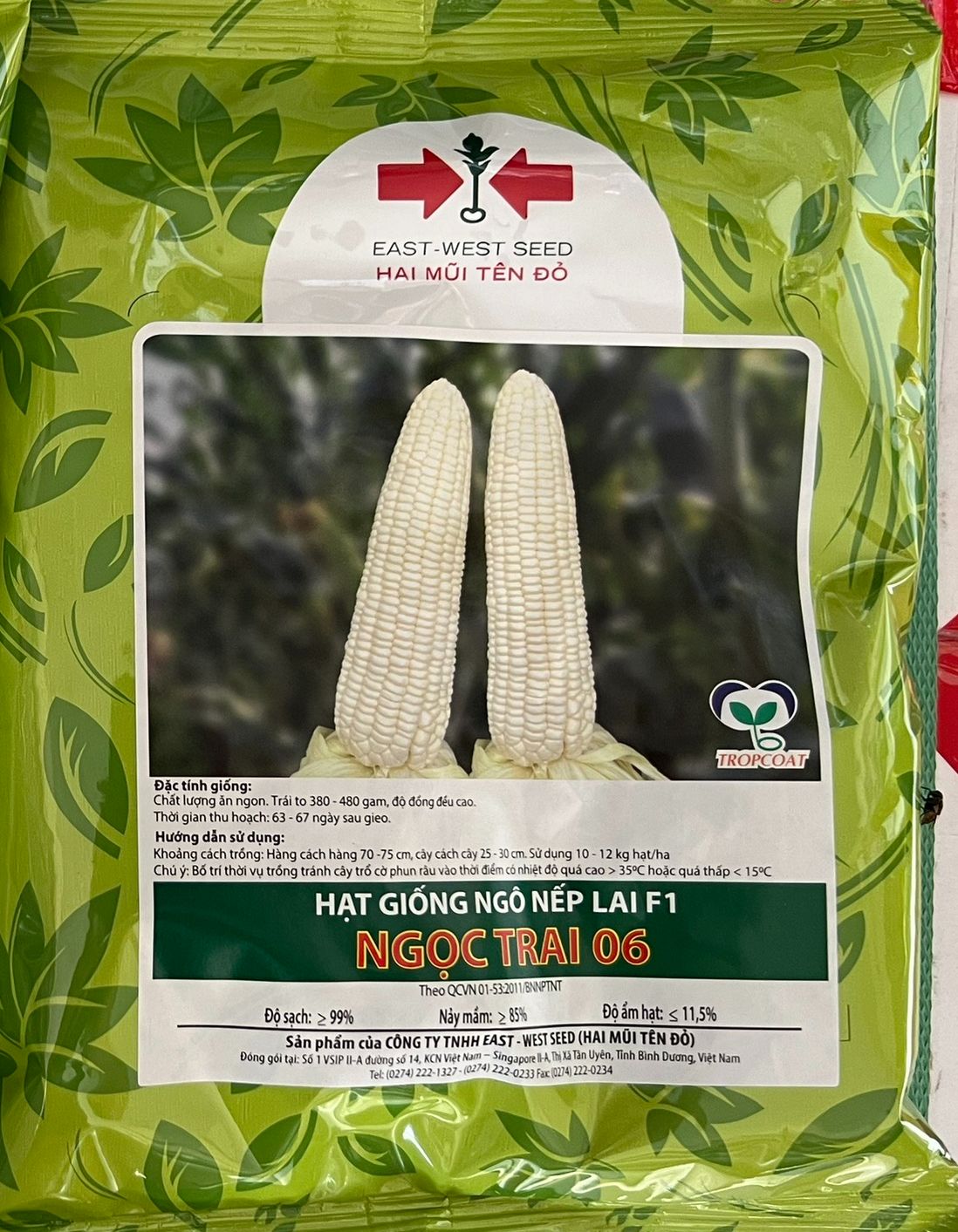 Hạt giống bắp nếp lai f1 ngọc trai 06