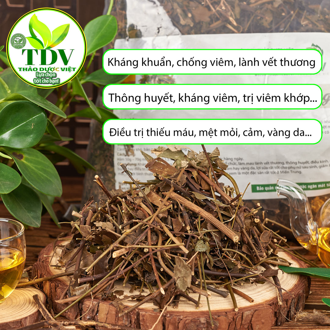 1kg Chè vằng Nghệ An giúp lợi sửa