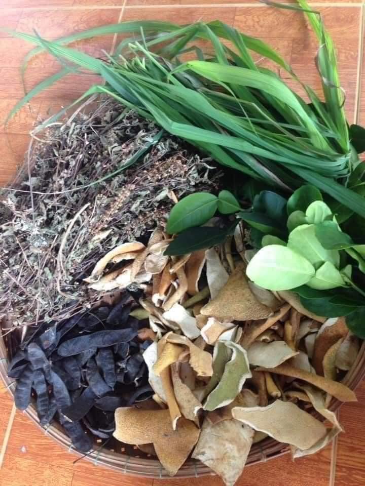 nụ đuổi muỗi thảo dược