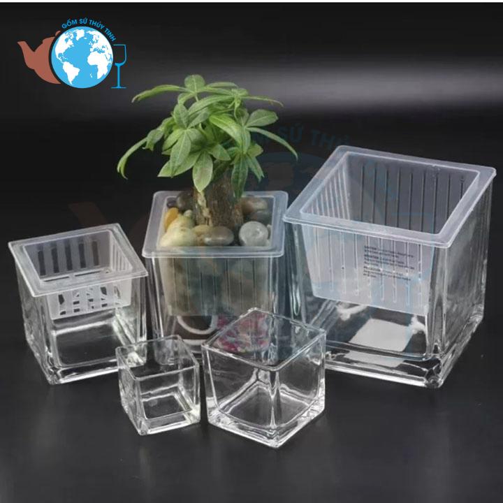 [HCM]Hồ cá vuông 10 cm x 10 cm