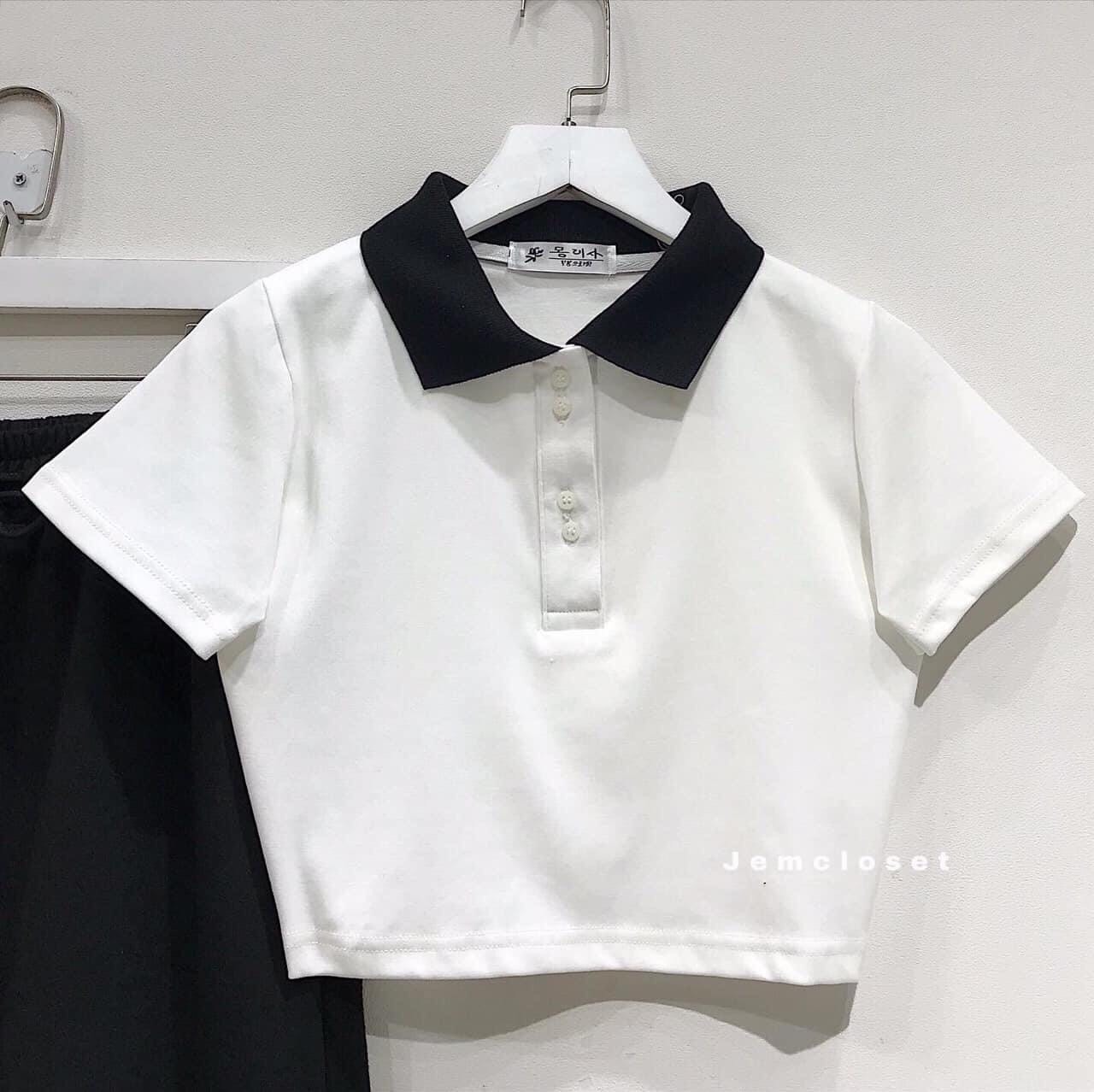 ÁO CROPTOP PETTER PHỐI CỔ