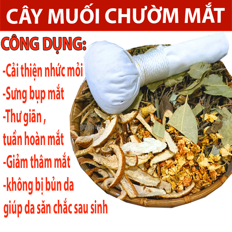 CÂY MUỐI THẢO DƯỢC CHƯỜM MẮT