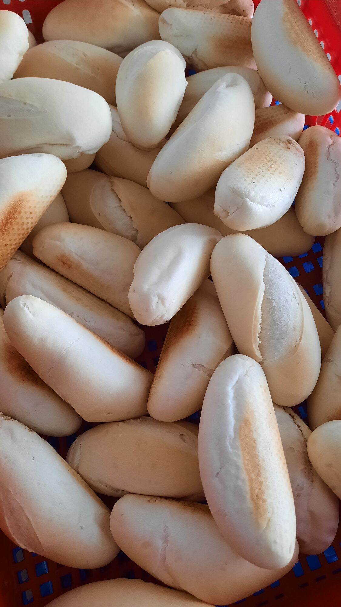 [FREESHIP MAX] Bánh mì tươi cấp đông [hangdaklak]