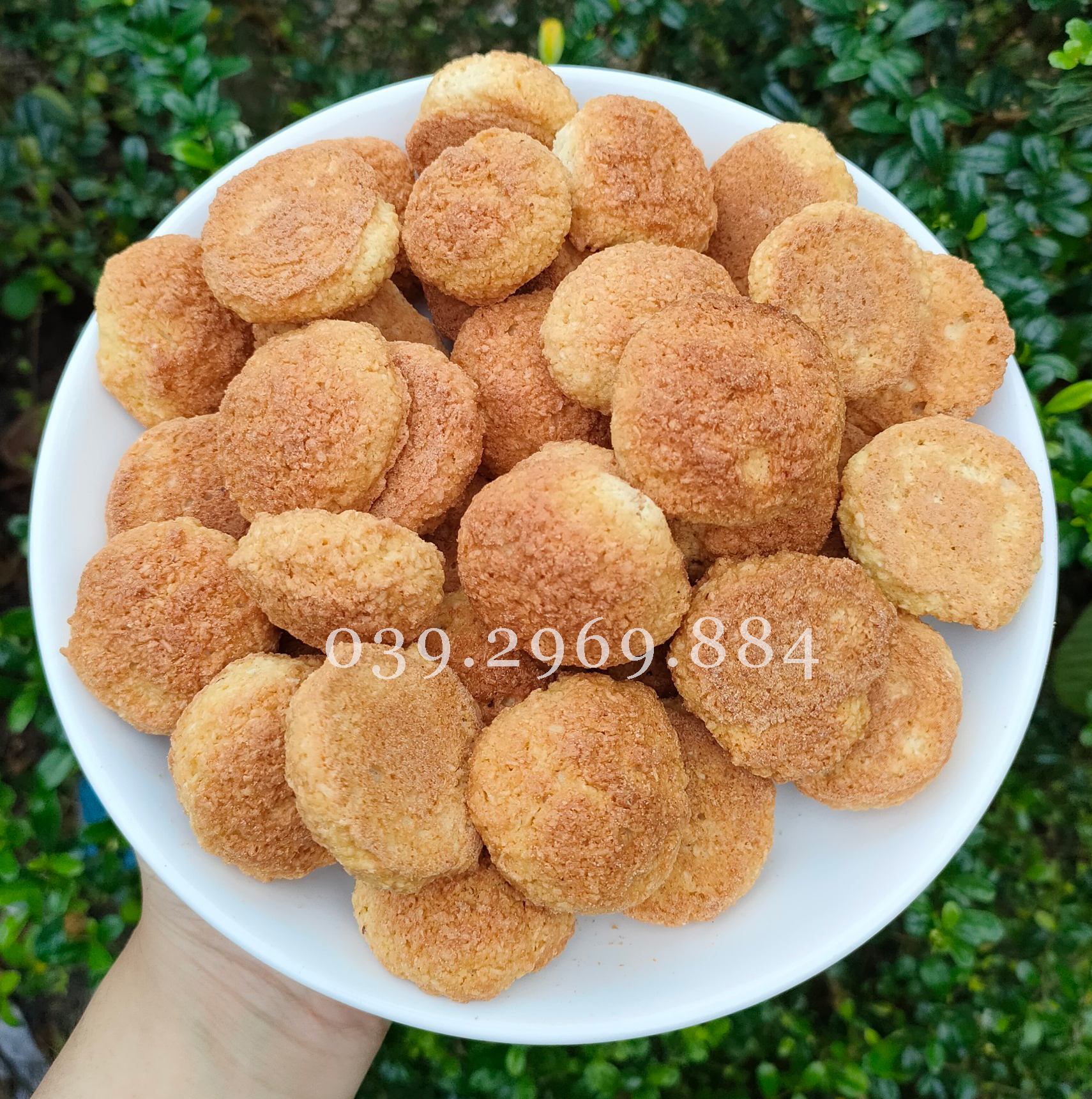 Bánh dừa sữa 250g/ 500g/ 1kg