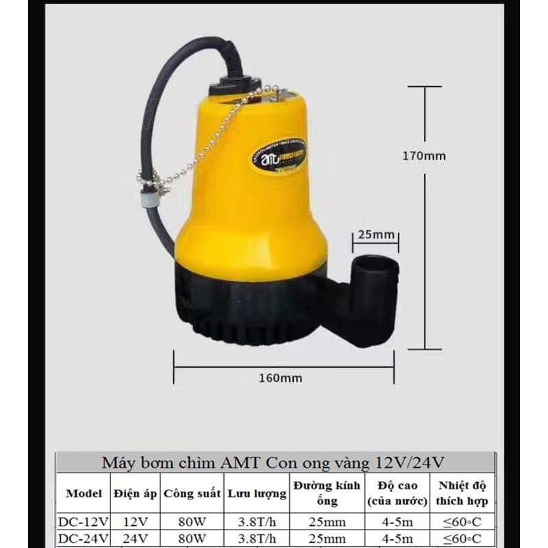 Máy bơm chìm 12V ( bơm thả)