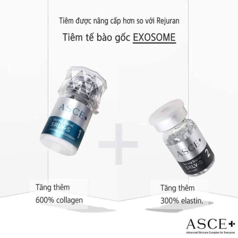 Tinh chất căng bóng da tiêm meso (EXOSOME) ASCE plus Cho Trẻ Hoá Da - 1 cặp