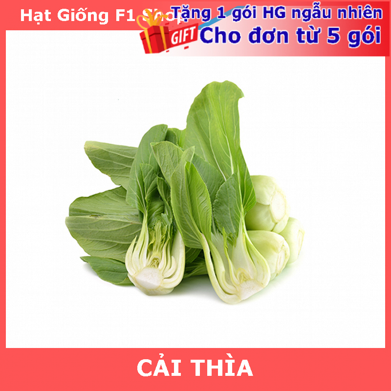 Hạt Giống Cải Thìa (Cải Chíp) Năng Suất Cao 20 Gam