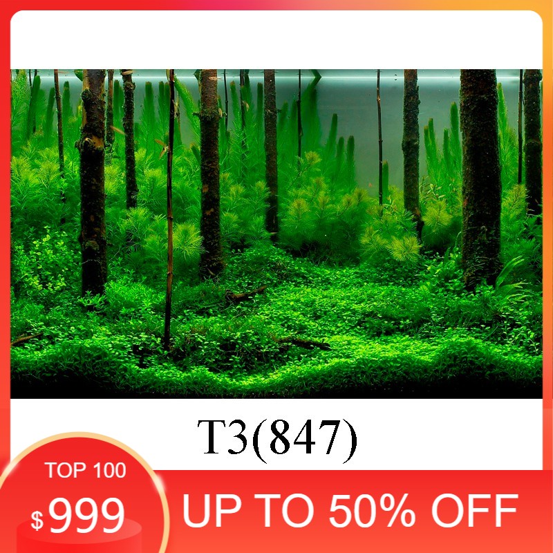 decal hồ cá (kt 60x40, 80x40, 80x50 , 90x50, 100x50...)