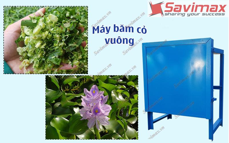 MÁY BĂM CỎ VUÔNG ĐỘNG CƠ 0.75KW