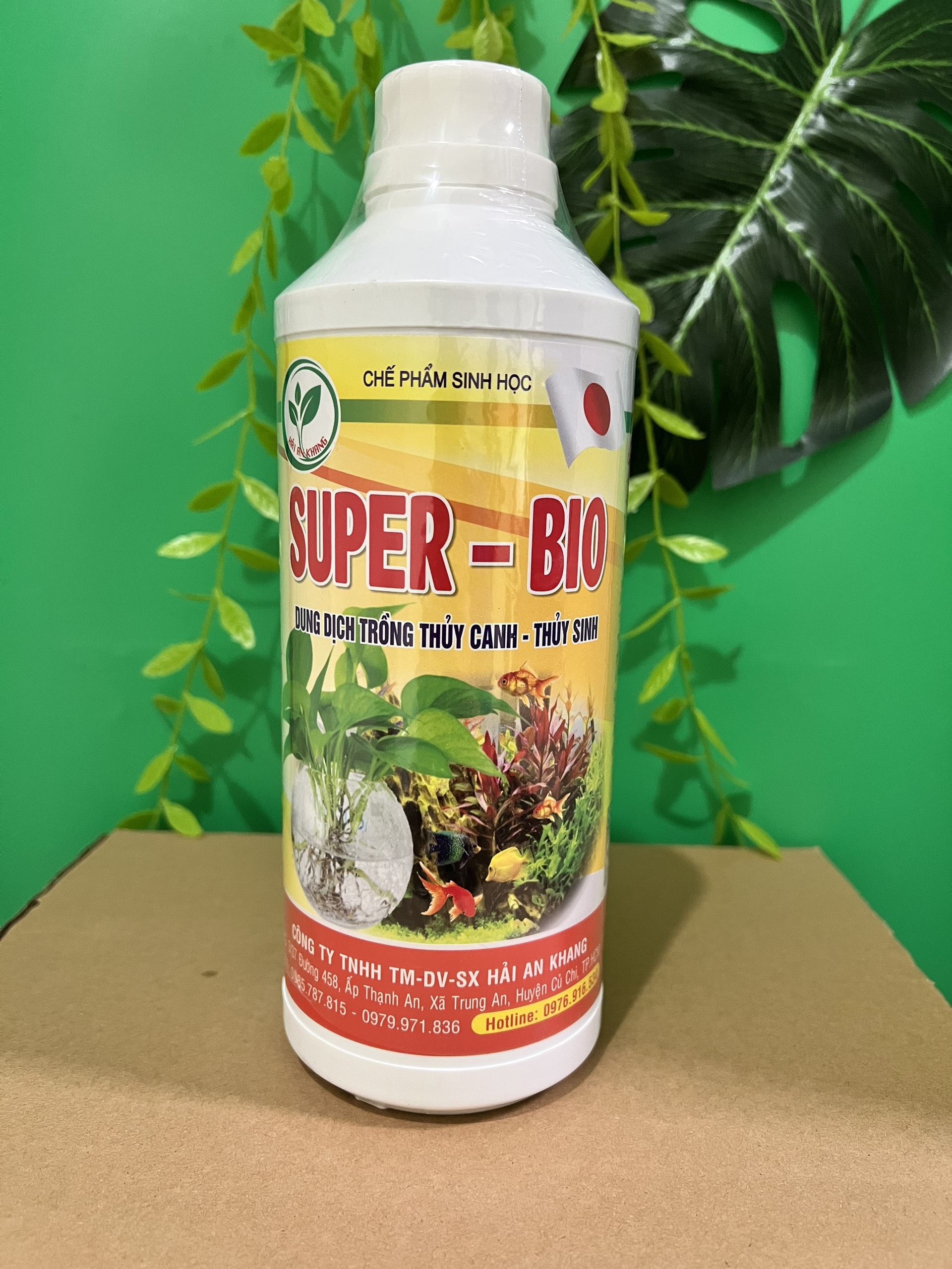 Dung dịch thủy canh, dung dịch thủy sinh Super Bio 1 lít dành cho cây trồng nội thất trầu bà, vạn niên thanh