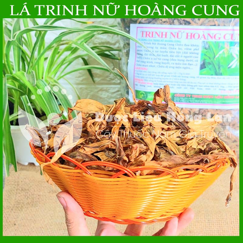 Thảo dược trinh nữ hoàng cung khô đóng gói 0.5kg - congtyduoclieuhonglan