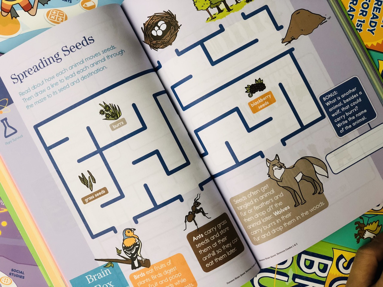 Sách Summer Brain Quest 1&2 ( 6 - 7 Tuổi ) - Nhà Sách Á Châu Books