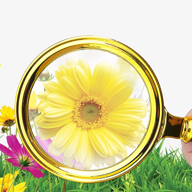 90mm Magnifier Handheld Magnifying Glass