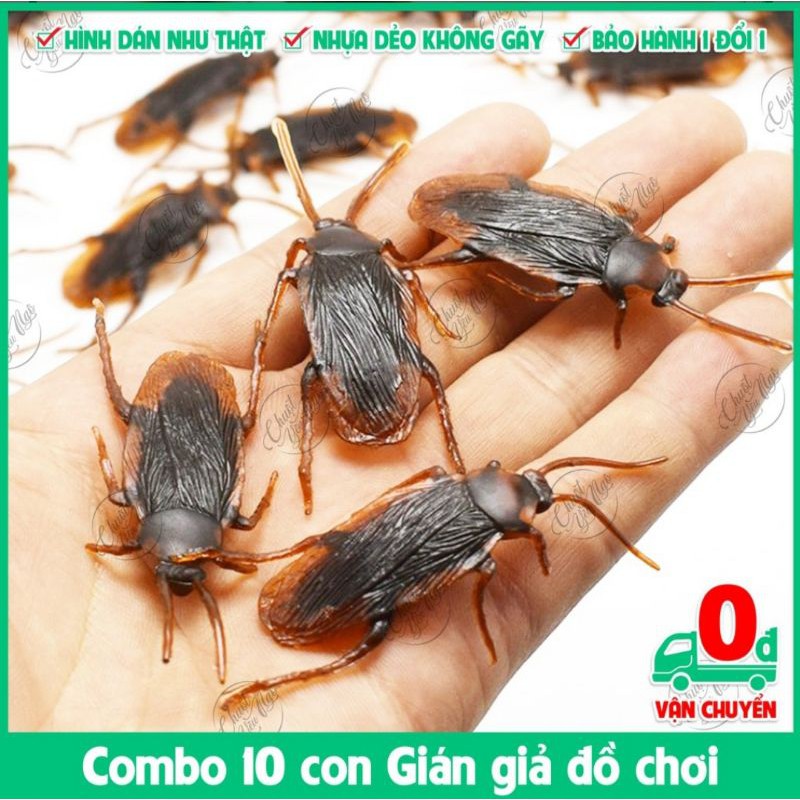 Combo 10/20/30/40 con gián giả nhựa dẻo để troll bạn bè làm đồ chơi cho chó mèo thú cưng - con dán giả