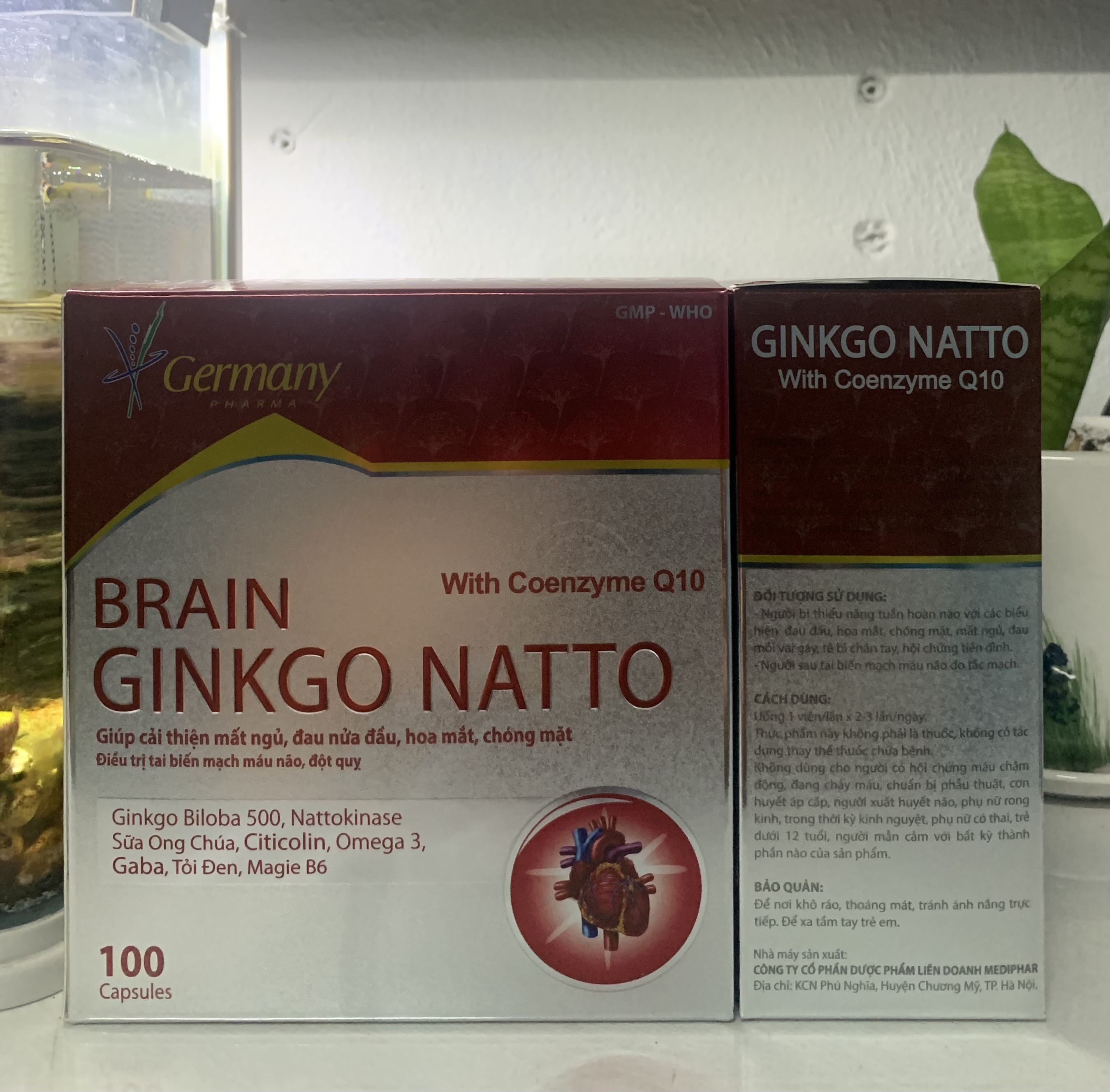 HOẠT HUYẾT DƯỠNG NÃO BRAIN GINKGO NATTO Hộp 100 Viên Chính Hãng