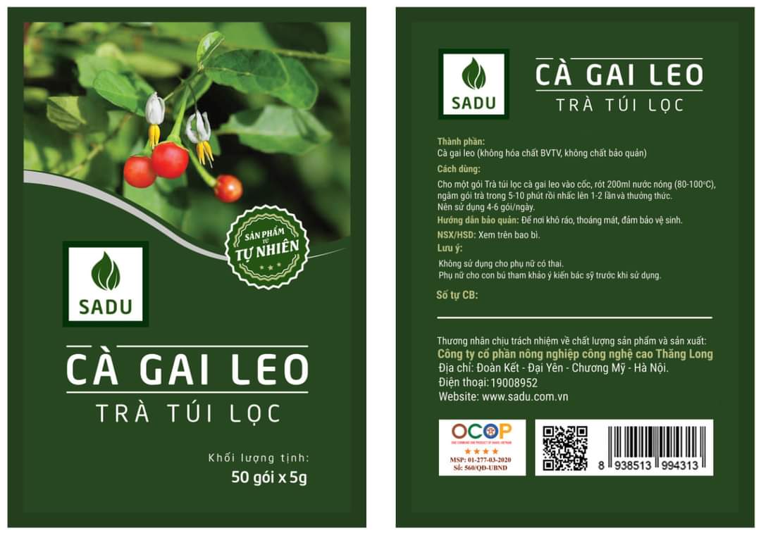 TRÀ TÚI LỌC CÀ GAI LEO SADU 1KG