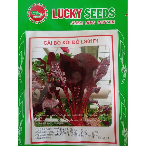 Hạt giống cải bó xôi đỏ chịu nhiệt F1- Gói 50 hạt