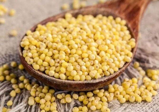 Hạt kê nếp vàng hữu cơ (Hút chân không)
