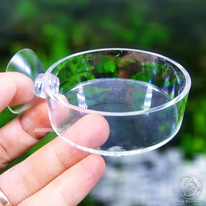 Chén tép acrylic - chén đựng thức ăn cá tép cảnh