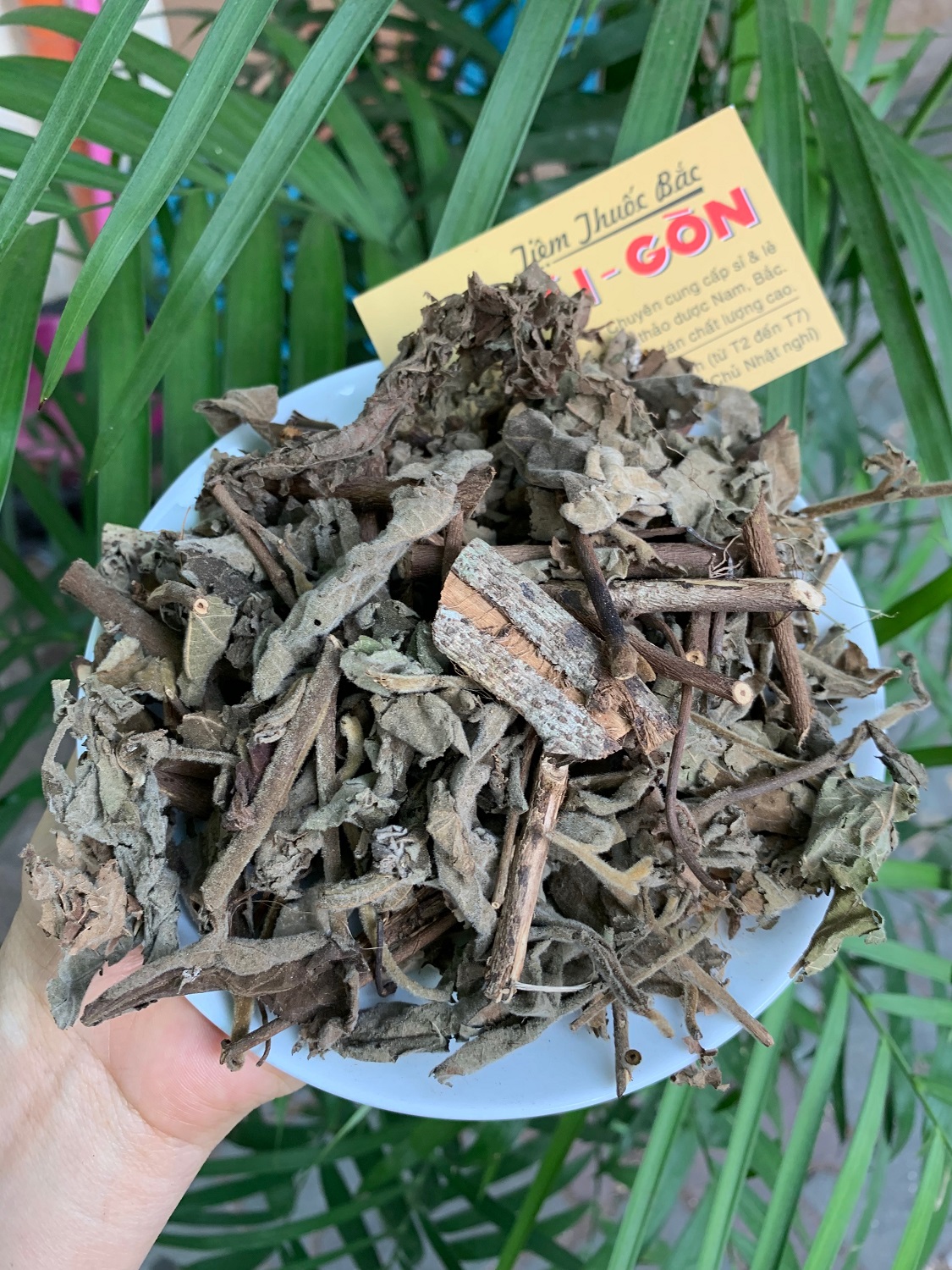 [HCM]CÂY AN XOA 500GRAM Tiệm Thuốc Bắc Sài Gòn