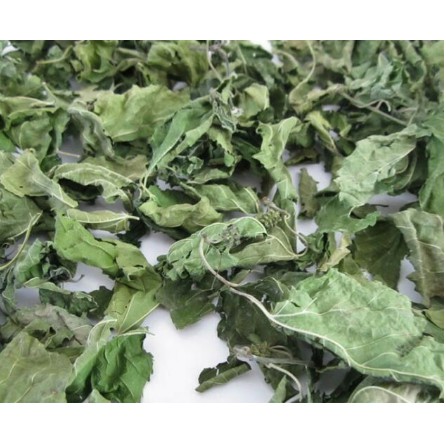 Lá Lốt khô [1KG] Hàng sạch đẹp